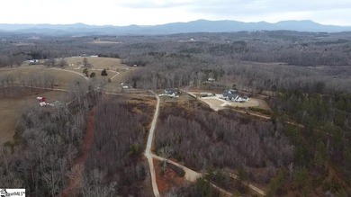 Beautiful 3.25 acre homesite offering privacy and space to build - photo 2