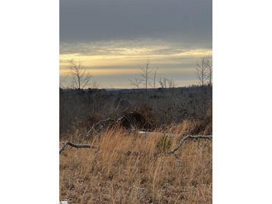 Beautiful 3.25 acre homesite offering privacy and space to build - photo 9