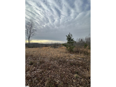 Beautiful 3.25 acre homesite offering privacy and space to build - photo 10