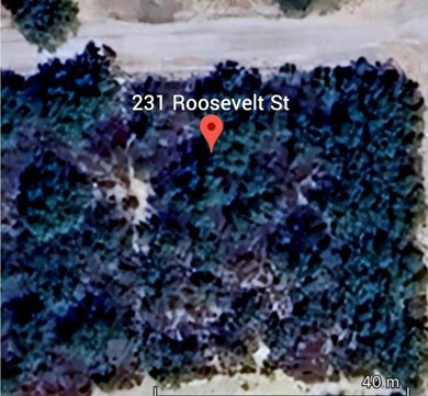 (private lake, pond, creek) Lot For Sale in El Indio Texas