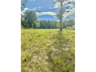 Lake Lot For Sale in Carriere, Mississippi