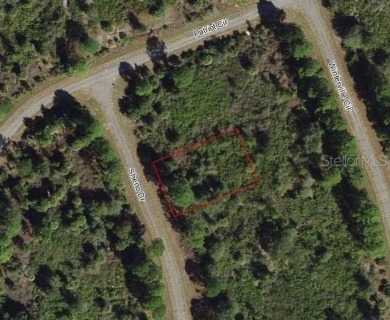 Gorgeous lot in North Port. North Port is an area that has seen - photo 3