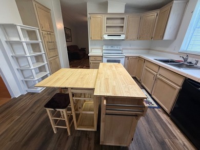 Move-in ready 2-bedroom, 2-bath in a premier 55+ Community with - photo 3