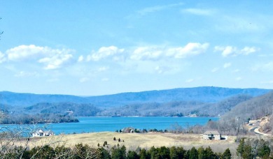 Come build your dream home in this peaceful gated community on - Lake Lot For Sale in Rockwood, Tennessee