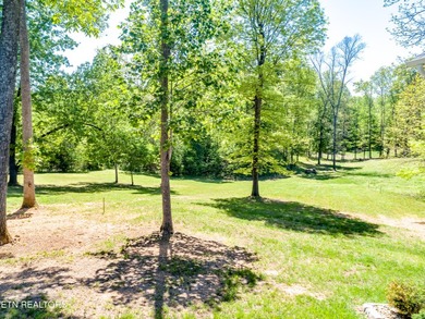 'Hickory Pointe on Norris Lake'' Lake and Mountain view home - photo 24