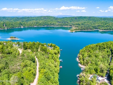 'Hickory Pointe on Norris Lake'' Lake and Mountain view home - photo 27