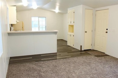 Rare opportunity under $75,000! This updated 3-bedroom, 2-bath - photo 4