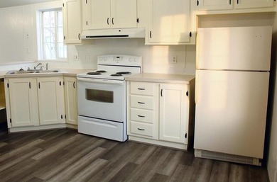 Rare opportunity under $75,000! This updated 3-bedroom, 2-bath - photo 8