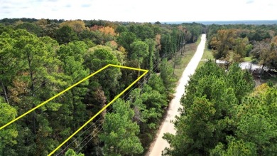 Lake Lot For Sale in Trinity, Texas