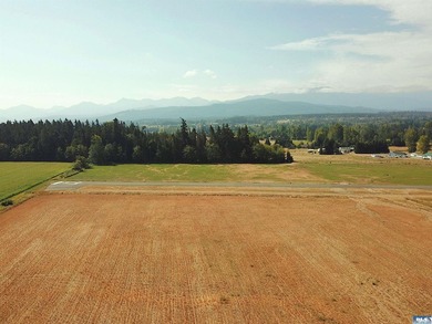 Fly for business or pleasure! This beautiful property with - photo 1