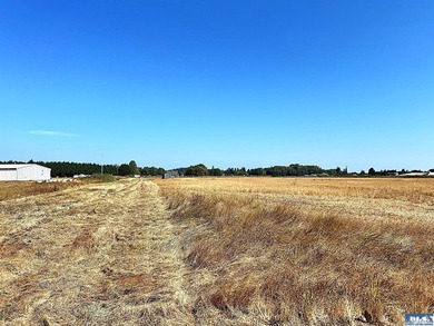 Fly for business or pleasure! This beautiful property with - photo 10