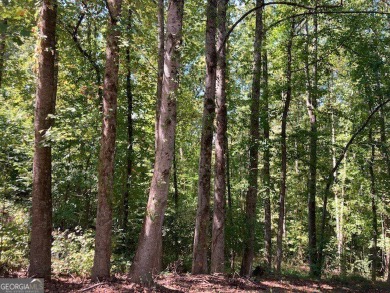 Lake Lot For Sale in Gainesville, Georgia