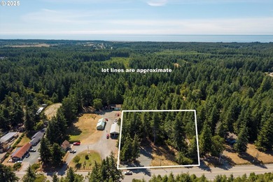 BANDON COMMERCIAL ACRE with 206 feet of Highway 101 frontage - photo 1