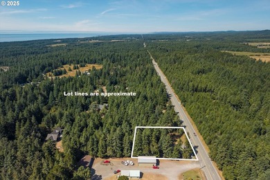 BANDON COMMERCIAL ACRE with 206 feet of Highway 101 frontage - photo 2