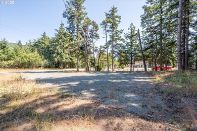 BANDON COMMERCIAL ACRE with 206 feet of Highway 101 frontage - photo 4
