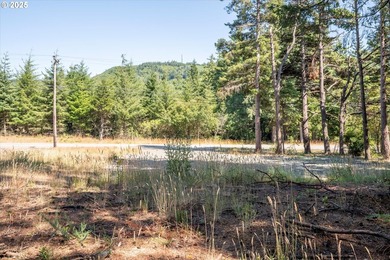 BANDON COMMERCIAL ACRE with 206 feet of Highway 101 frontage - photo 5