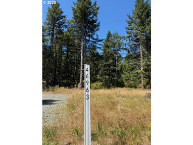 BANDON COMMERCIAL ACRE with 206 feet of Highway 101 frontage - photo 8