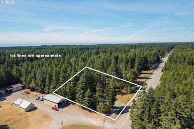 BANDON COMMERCIAL ACRE with 206 feet of Highway 101 frontage - photo 9
