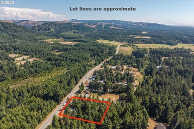 BANDON COMMERCIAL ACRE with 206 feet of Highway 101 frontage - photo 10