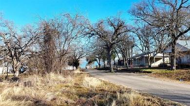 Nice lot to build new home just steps down to the lake. View of - photo 12