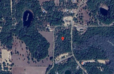 Lake Lot Sale Pending in Chipley, Florida