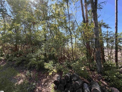NO HOAs or restrictions. Situated in the quiet countryside of - photo 6