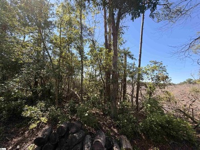 NO HOAs or restrictions. Situated in the quiet countryside of - photo 8
