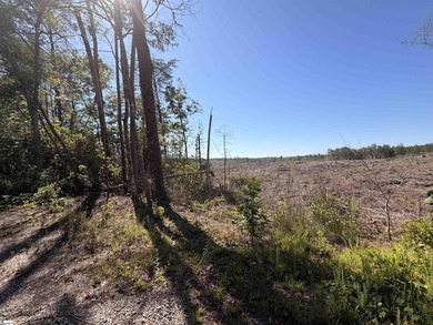 NO HOAs or restrictions. Situated in the quiet countryside of - photo 9