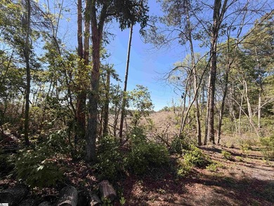 NO HOAs or restrictions. Situated in the quiet countryside of - photo 10