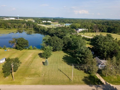 (private lake, pond, creek) Acreage For Sale in New Lisbon Wisconsin