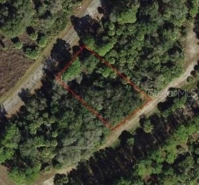 Gorgeous lot in North Port. North Port is an area that has seen - photo 8