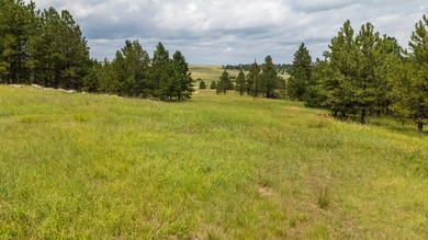 Presenting A Bar Ranch in Douglas County Colorado, a front range - photo 12