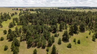Presenting A Bar Ranch in Douglas County Colorado, a front range - photo 13