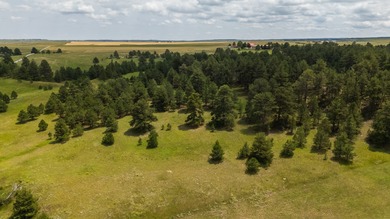 Presenting A Bar Ranch in Douglas County Colorado, a front range - photo 14
