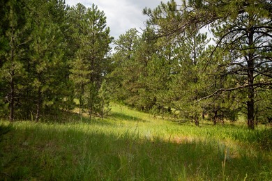 Presenting A Bar Ranch in Douglas County Colorado, a front range - photo 16