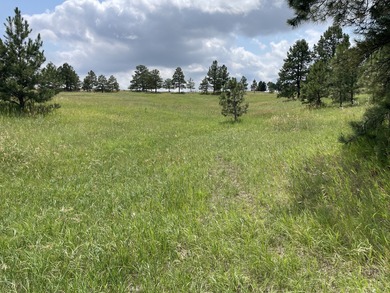 Presenting A Bar Ranch in Douglas County Colorado, a front range - photo 20