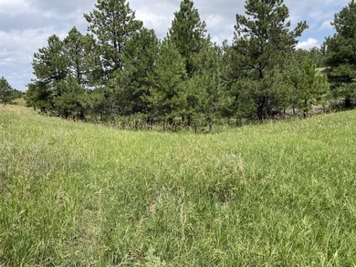 Presenting A Bar Ranch in Douglas County Colorado, a front range - photo 21