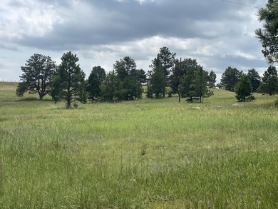Presenting A Bar Ranch in Douglas County Colorado, a front range - photo 22