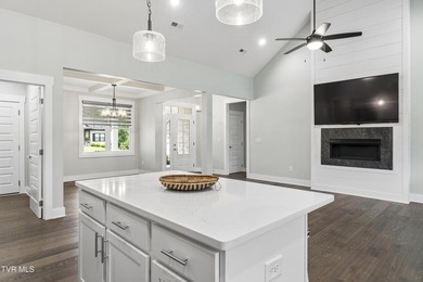 Welcome home to 576 Gardenia Drive in Johnson City, where - photo 22