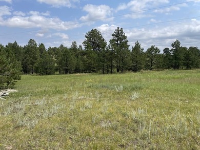 Presenting A Bar Ranch in Douglas County Colorado, a front range - photo 23