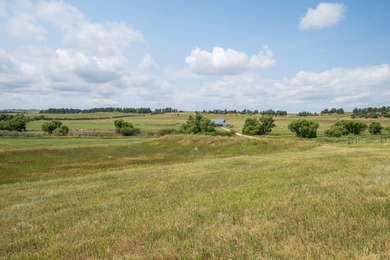 Presenting A Bar Ranch in Douglas County Colorado, a front range - photo 26