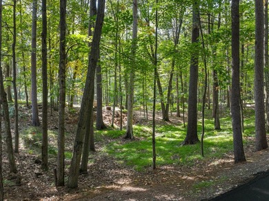 Immaculate Minocqua Chain home offering panoramic views of - photo 27