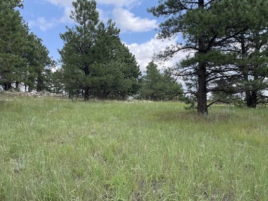 Presenting A Bar Ranch in Douglas County Colorado, a front range - photo 27