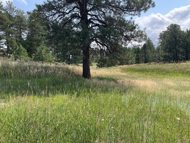 Presenting A Bar Ranch in Douglas County Colorado, a front range - photo 30