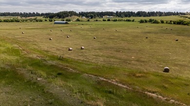 Presenting A Bar Ranch in Douglas County Colorado, a front range - photo 37