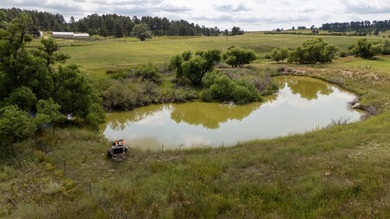 Presenting A Bar Ranch in Douglas County Colorado, a front range - photo 40