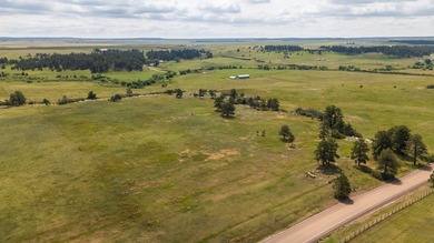 Presenting A Bar Ranch in Douglas County Colorado, a front range - photo 41