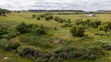 Presenting A Bar Ranch in Douglas County Colorado, a front range - photo 42
