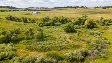 Presenting A Bar Ranch in Douglas County Colorado, a front range - photo 43