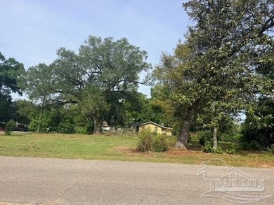 Prime Vacant Commercial/Residential Lot - 3001 N U St, Pensacola - photo 4